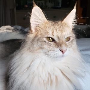 Meet your Posher, Douglas